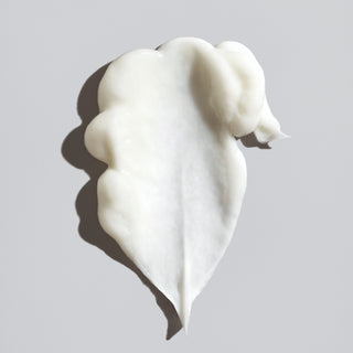 Signature Conditioner