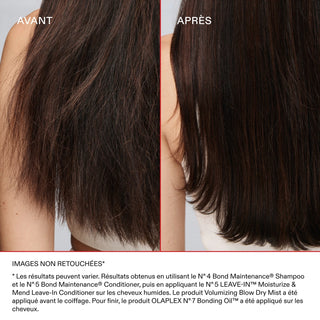 No. 5L Leave-in Moisturize & Mend Leave-in Conditioner